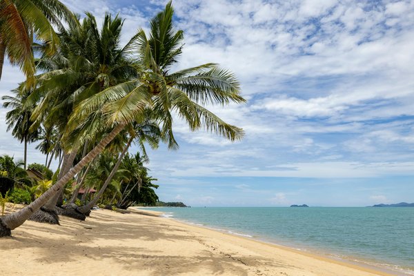 Comment organiser un camping pour une expédition de plongée avec requins en Australie?