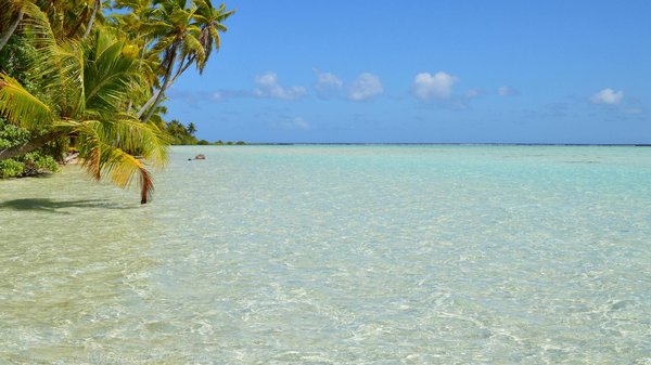 Quels sont les meilleurs spots pour la plongée en apnée à la Barbade?