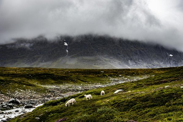 Peut-on trouver une location de vacances en Norvège avec des ateliers de sculpture sur glace et des randonnées en traîneau?