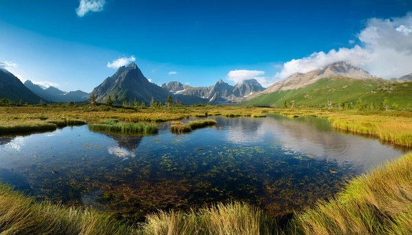 Comment organiser une visite des villages traditionnels dans les montagnes de la Sierra Norte au Mexique?