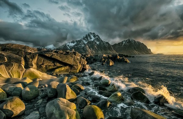 Comment organiser une croisière pour explorer les îles Galápagos avec des biologistes marins?