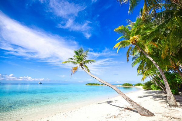 Comment organiser une expédition de kayak dans les fjords de Norvège : équipements et conseils pratiques ?